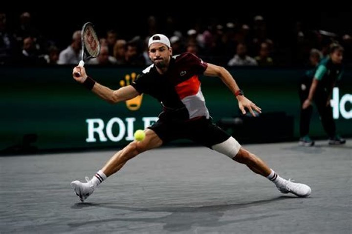 Grigor Dimitrov photo