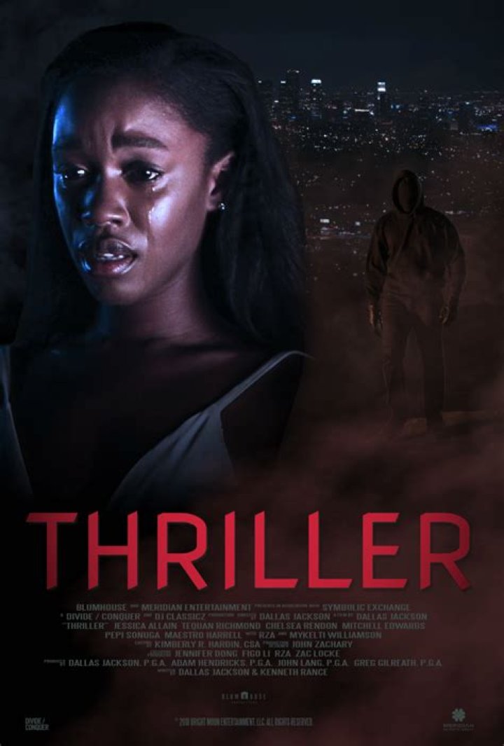 Who's in the Netflix thriller film?